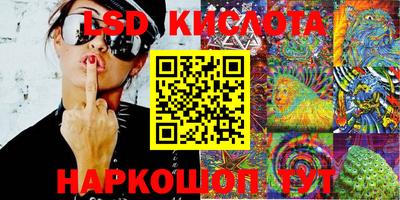 эйфоретик Камышлов