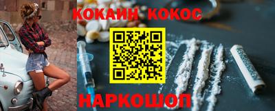 спайс Кингисепп