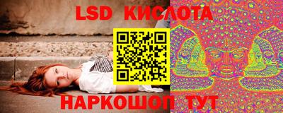 сатива Кандалакша