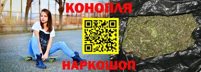 сатива Кандалакша