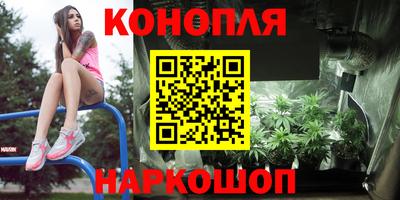 спайс Кингисепп