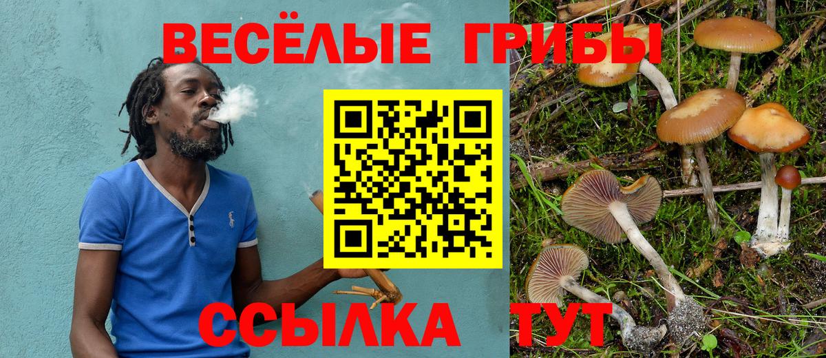 Котлас  наркошоп  Вход с VPN  Галлюциногенные грибы Magic Shrooms 