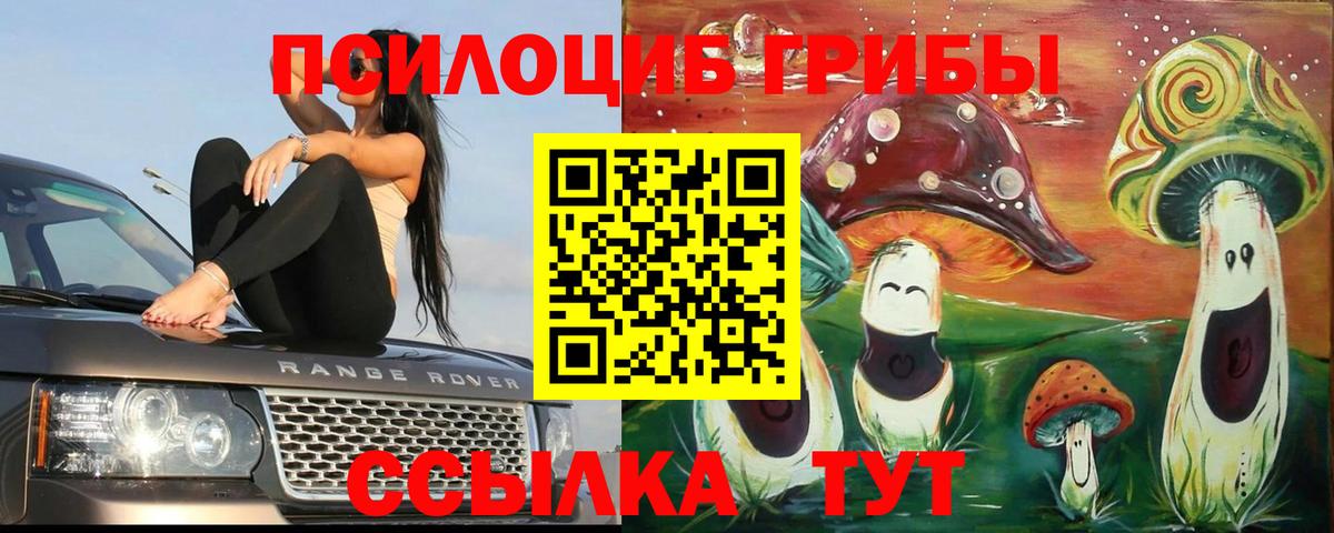 Где продают наркотики?  КОКАИН  ГАШ  Конопля  MDMA  Alpha PVP СК   LSD-25  Меф МЯУ МЯУ кристаллы  Вход с VPN  Котлас  Кокаин 